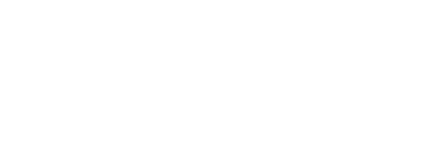 NEWER VPN